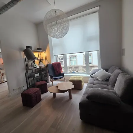 Business- And Family Historical Centre Appartement Oslo