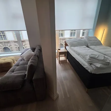 Business- And Family Historical Centre Appartement Oslo